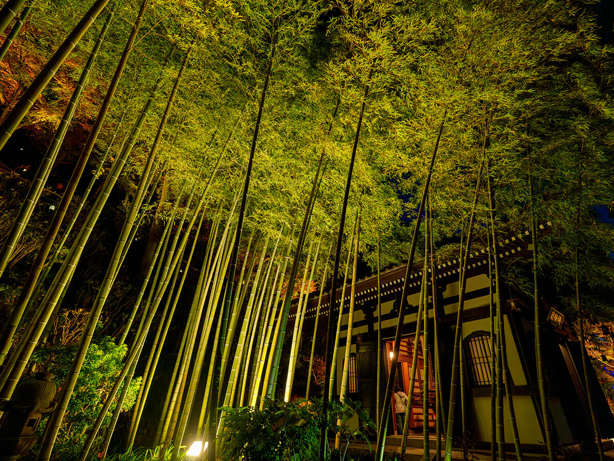 20251202長谷寺_LUA7R01893 のコピー.jpg