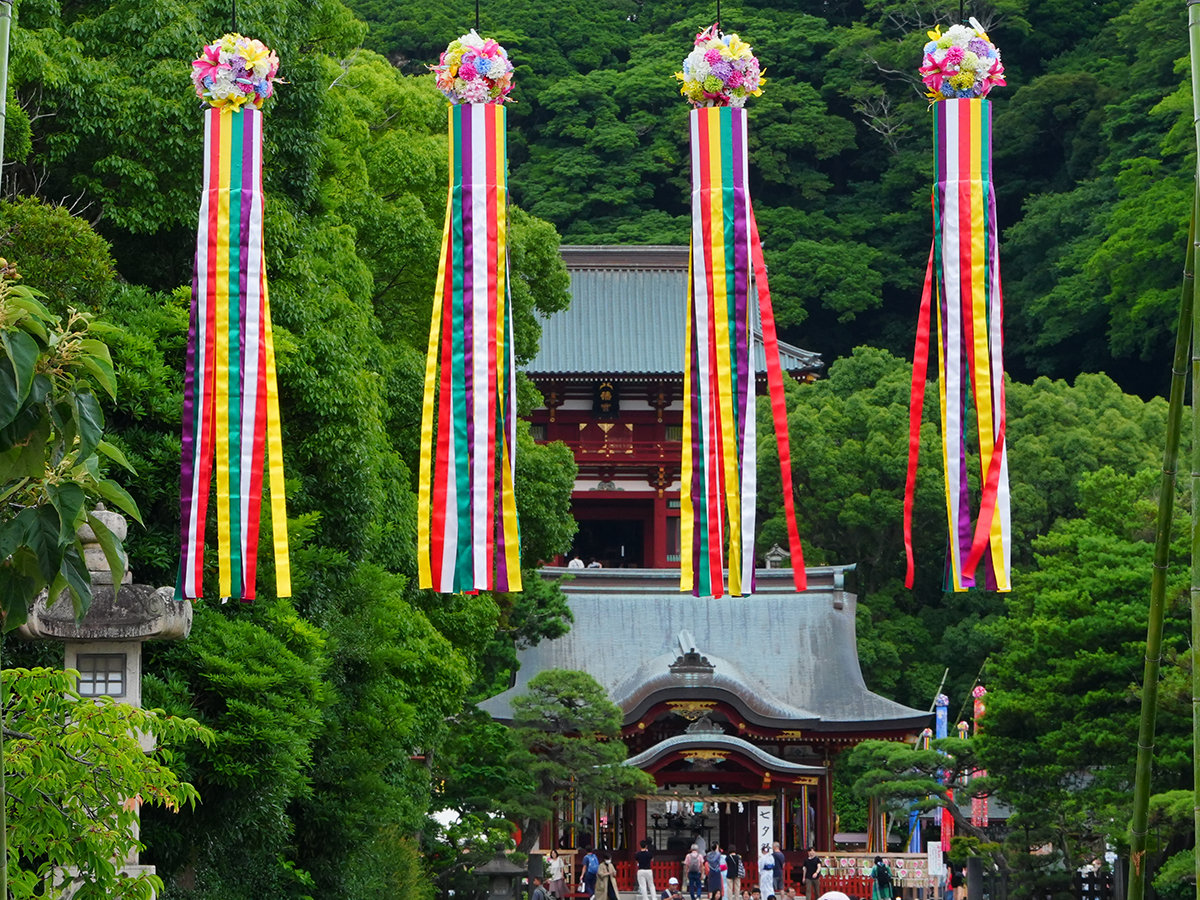20260707鶴岡八幡宮_七夕祭りA7V03830.jpg