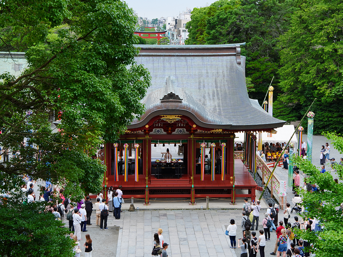 20260707鶴岡八幡宮_七夕祭りA7V04050.jpg