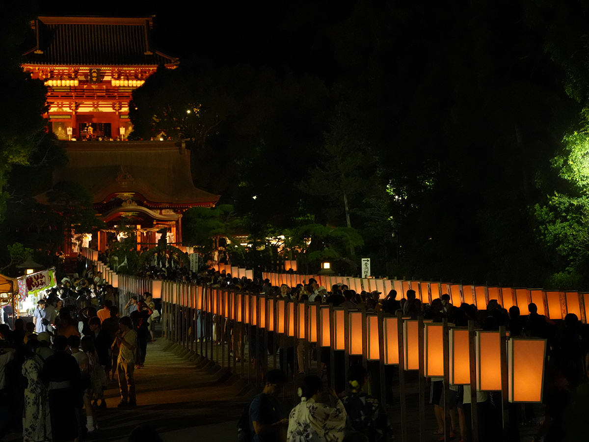 20260807鶴岡八幡宮_ぼんぼり祭④A7V05444.jpg