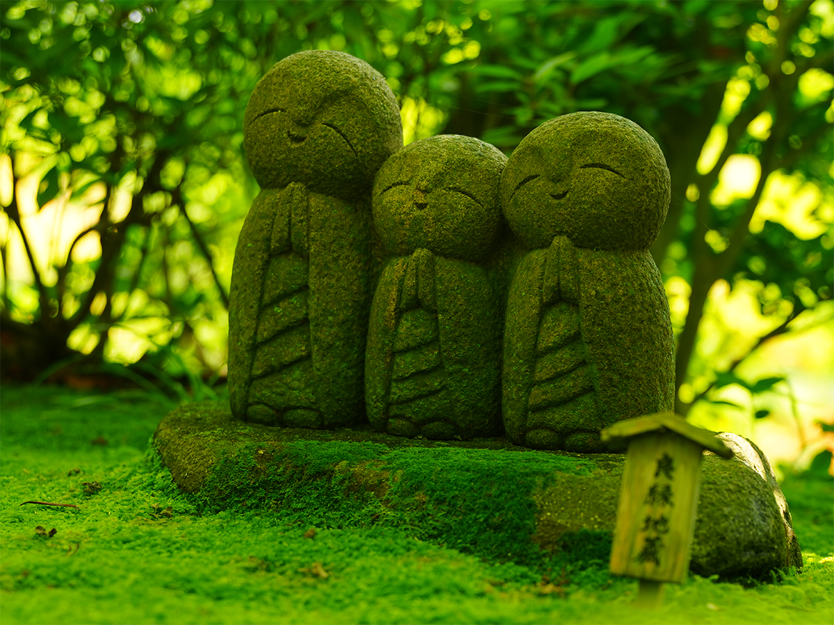 20260715長谷寺_凌霄花A7V04799.jpg
