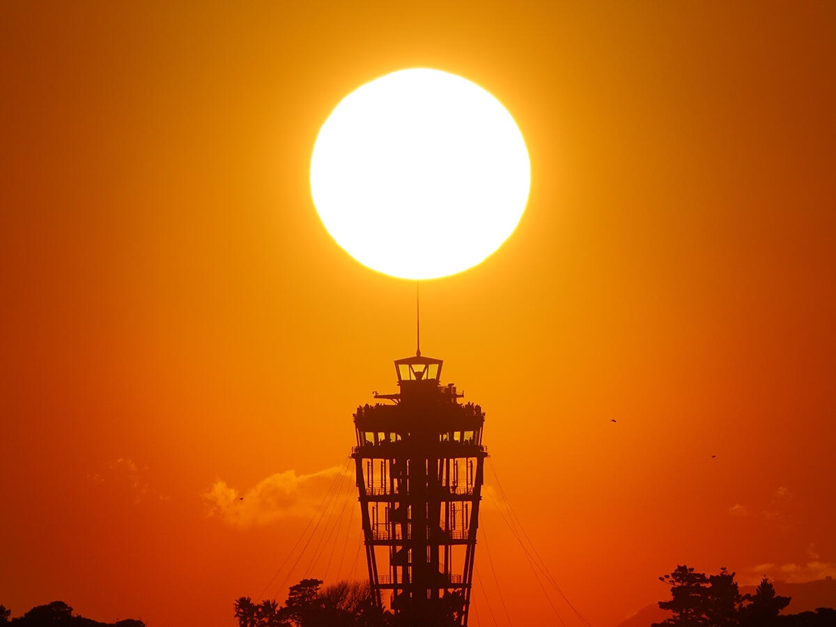 A7V04632 のコピー.jpg