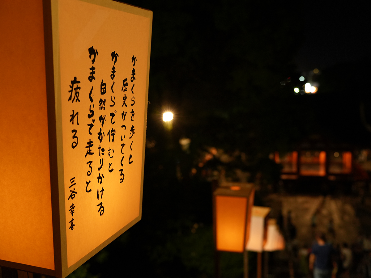 20260807鶴岡八幡宮_ぼんぼり祭⑪A7V05639.jpg