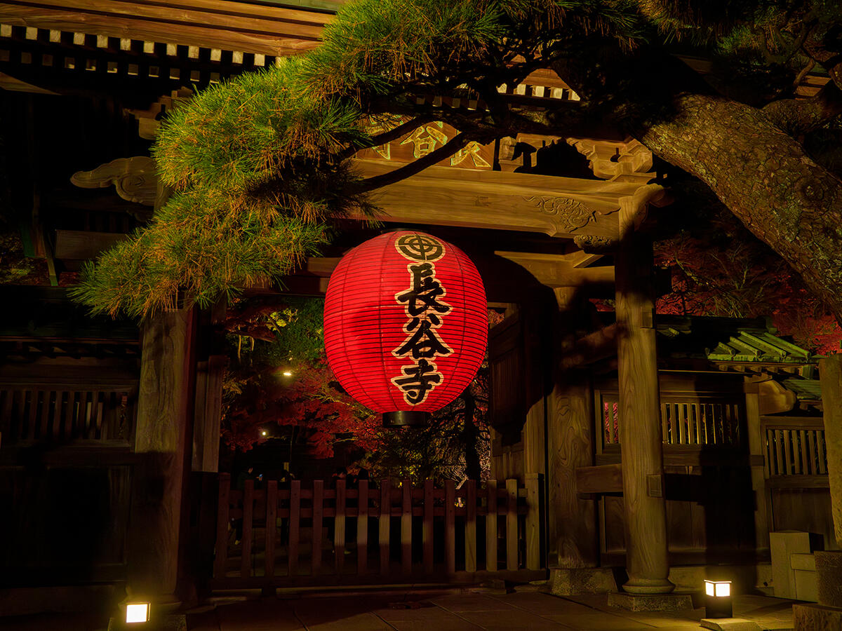 20251202長谷寺_LUA7R02184-Edit のコピー.jpg