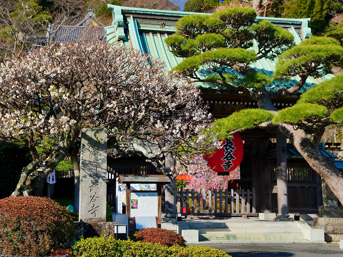 20260203長谷寺_節分会A7V01921 のコピー.jpg