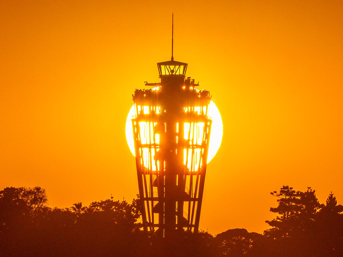 20251103ダイヤシーA7R09542-Edit のコピー.jpg