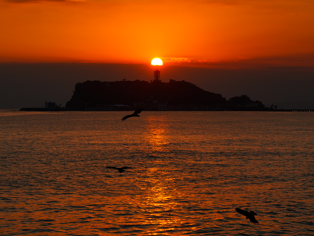 20261009七里ヶ浜_夕日A7V02273.jpg