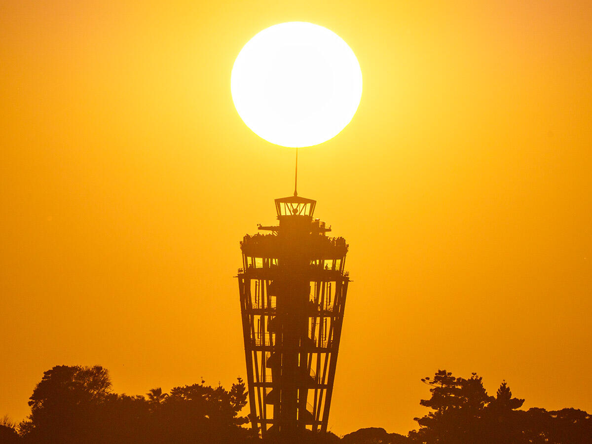 20251103ダイヤシーA7R09435-Edit のコピー.jpg