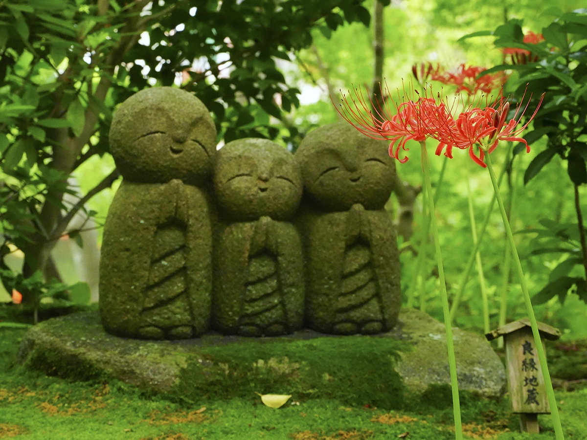 20260918長谷寺_彼岸花A7V01503.jpg