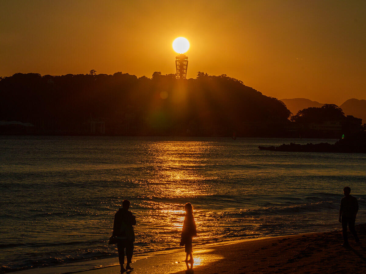 20251103ダイヤシーA7R09476-Edit のコピー.jpg