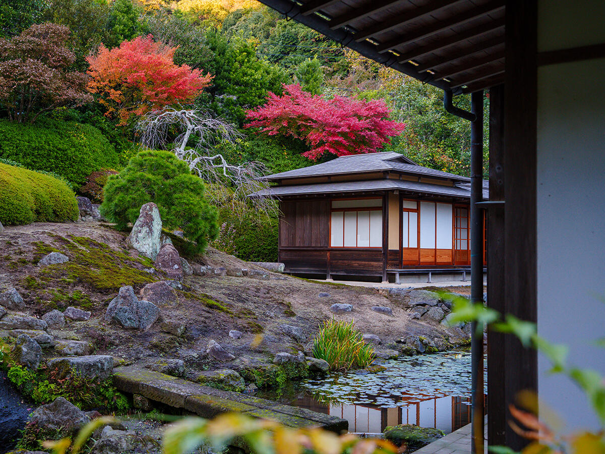 20251117海蔵寺_紅葉A7R00164-Edit のコピー.jpg
