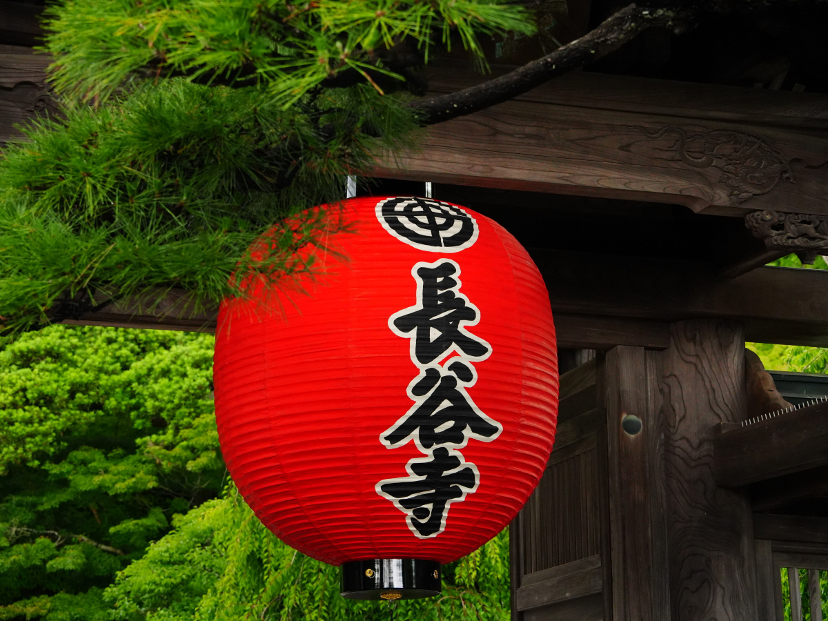 20260615長谷寺_紫陽花A7V01380.JPG
