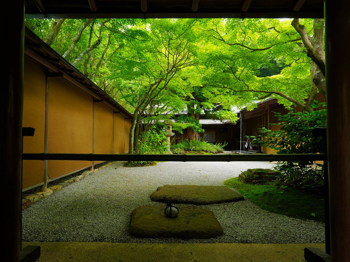 ⑧20260620一条恵観山荘_アナベルA7V01835.jpg