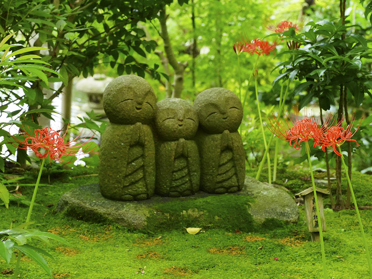 20260918長谷寺_彼岸花A7V01406.jpg