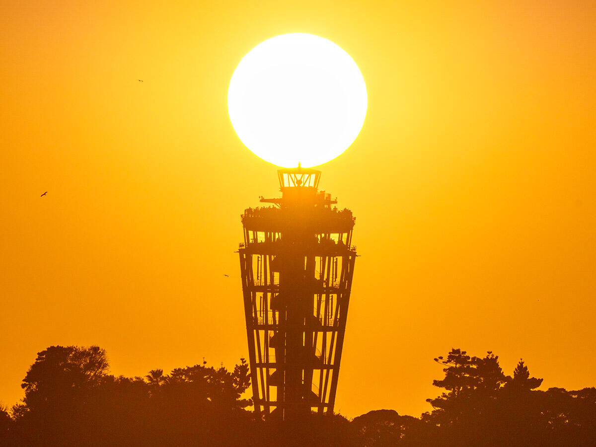 20251103ダイヤシーA7R09473-Edit のコピー.jpg