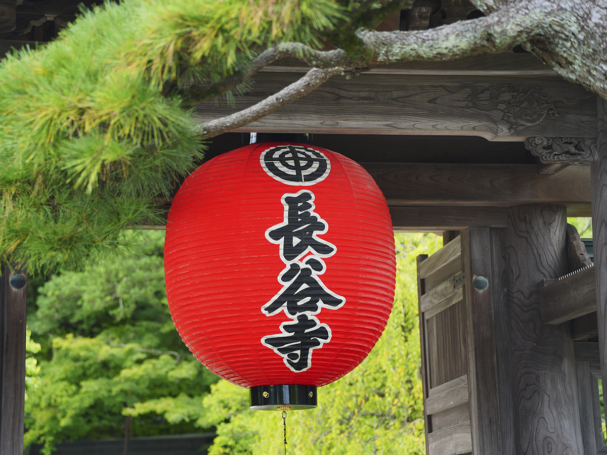 20260918長谷寺_彼岸花A7V01606.jpg