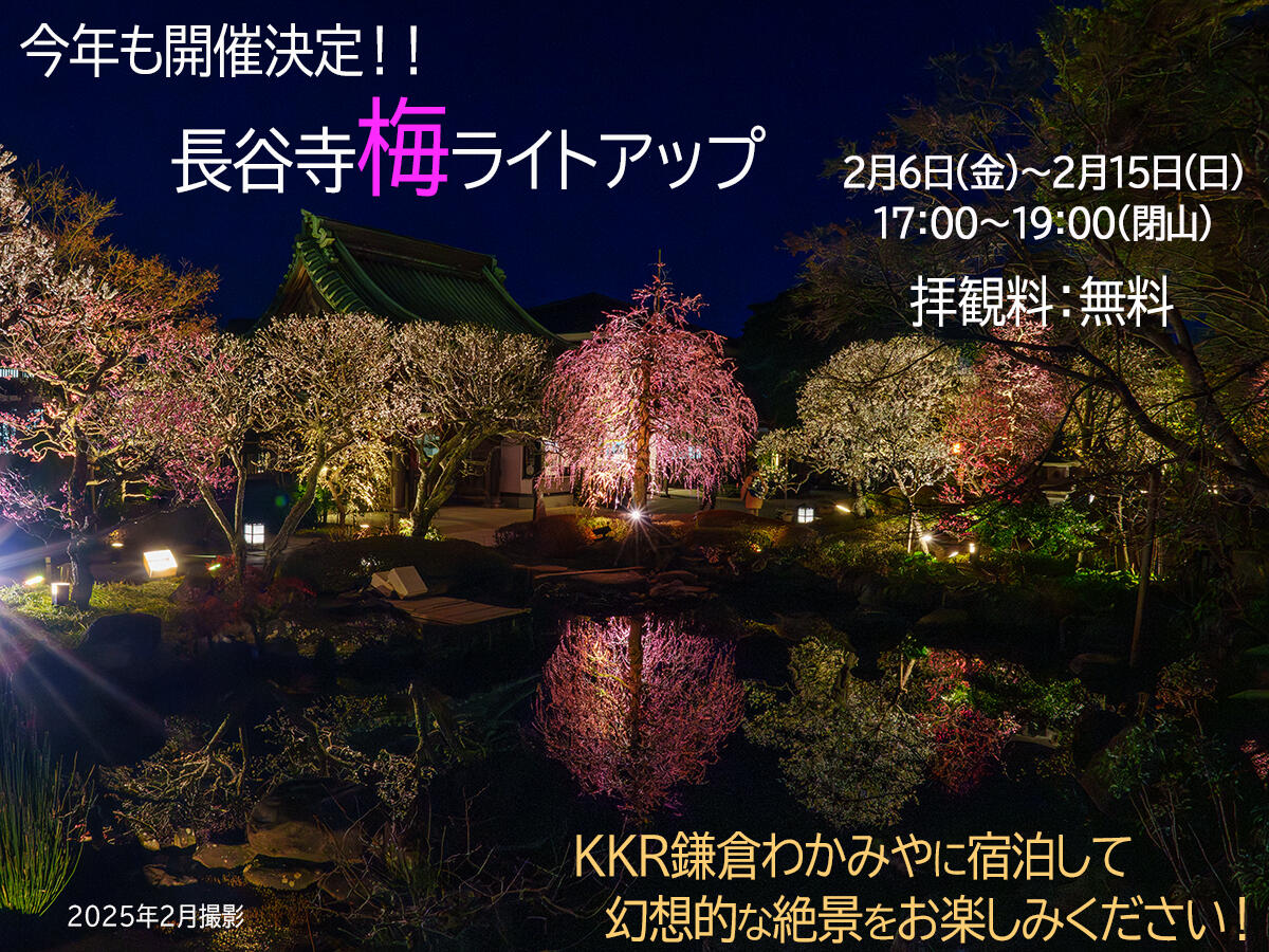 20250221長谷寺_梅ライトアップA7R06006-Edit のコピー.jpg
