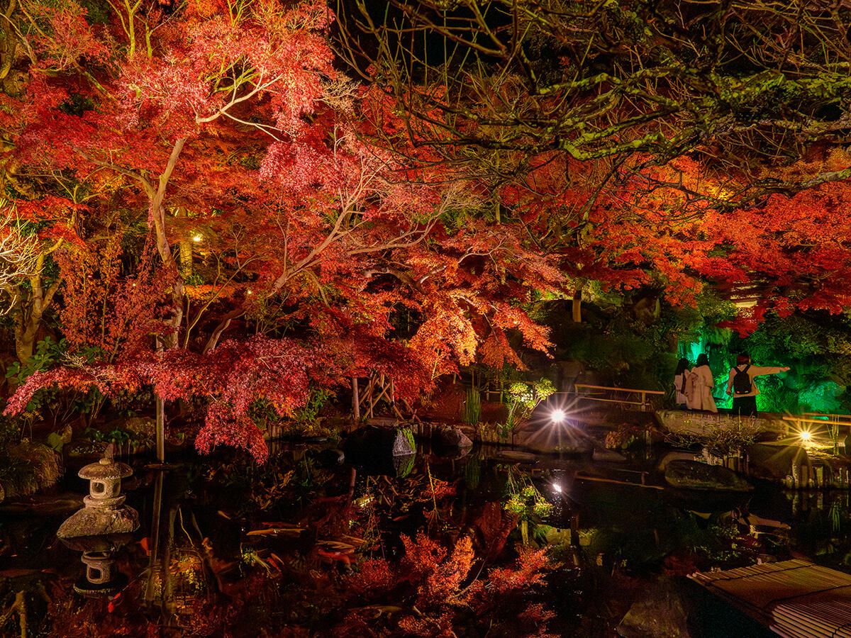 20251202長谷寺_紅葉RUA7R02075-Edit のコピー.jpg