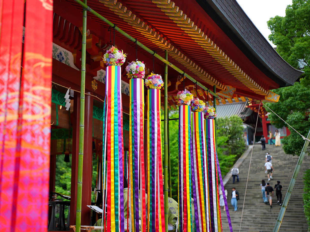 20260707鶴岡八幡宮_七夕祭りA7V03868.jpg