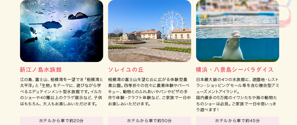 周辺観光イメージ